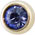 champ tanzanite